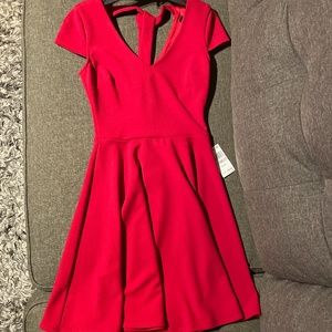 Little Red Dress